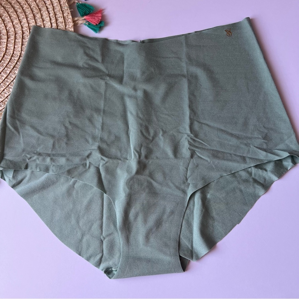 Victoria's Secret No-Show Modern Brief Panty Seasalt Green Large NEW